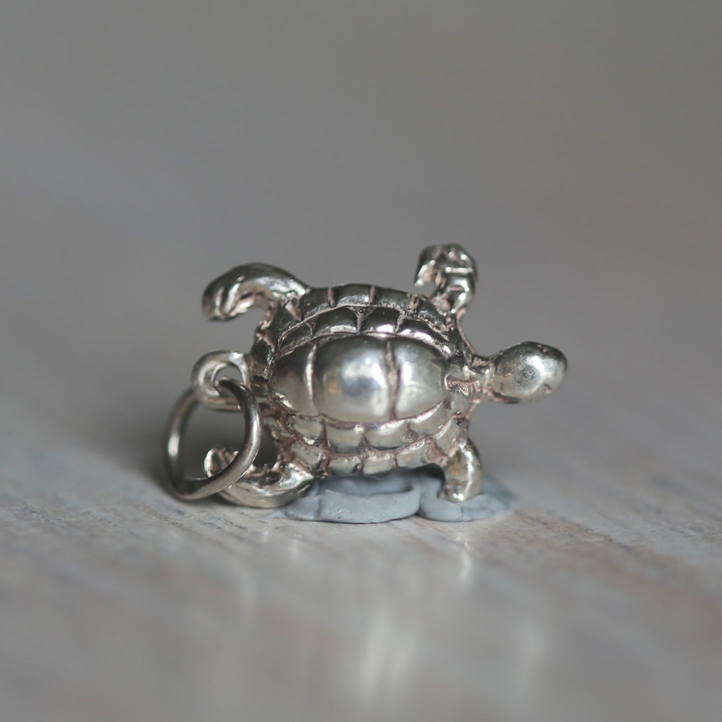 Reptile and Amphibian Silver Charms